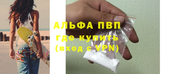 сатива Белокуриха