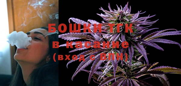 сатива Белокуриха