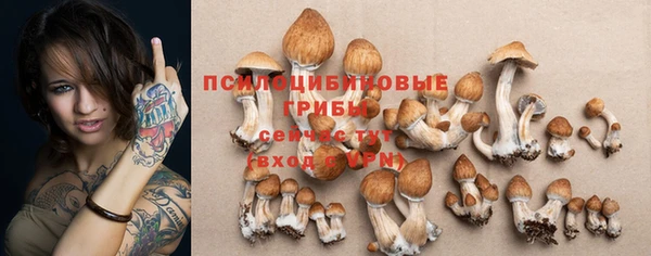 сатива Белокуриха