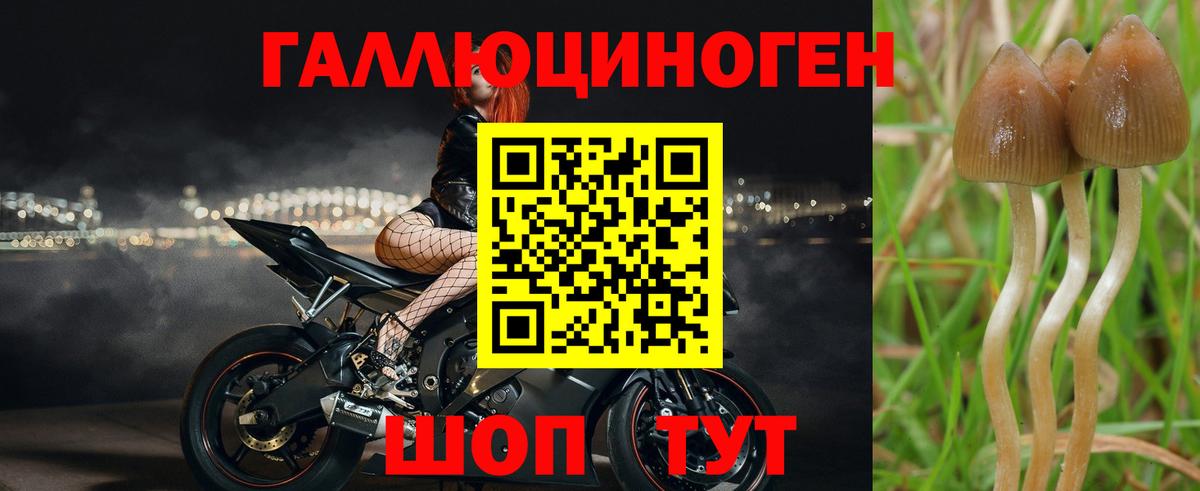где продают   Галлюциногенные грибы мицелий  Вход с VPN  Надым 